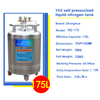YDZ-175 Liquid Nitrogen Tank
