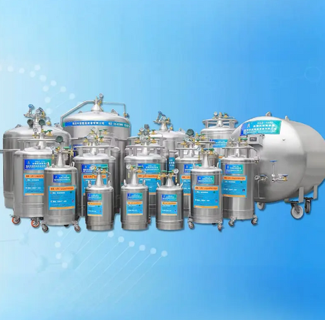 Annual Maintenance Checklist For Industrial Liquid Nitrogen Tanks.png