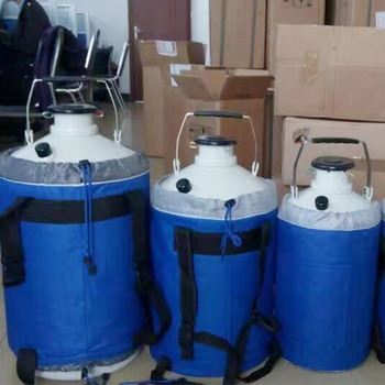 YDZ-30 Liquid Nitrogen Tank