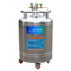 YDZ-150 Liquid Nitrogen Tank
