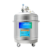 YDZ-500 Liquid Nitrogen Tank
