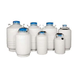 YDZ-10 Liquid Nitrogen Tank