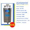 YDZ-300 Liquid Nitrogen Tank