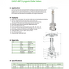 DJ61F-40P(DJ-15P DJ-25P) Cryogenic Globe Valves