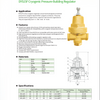 DYS15F Cryogenic Pressure-Building Regulator
