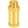DH15F Cryogenic Check Valves