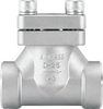 DH61F-40P Cryogenic Lift Check Valves