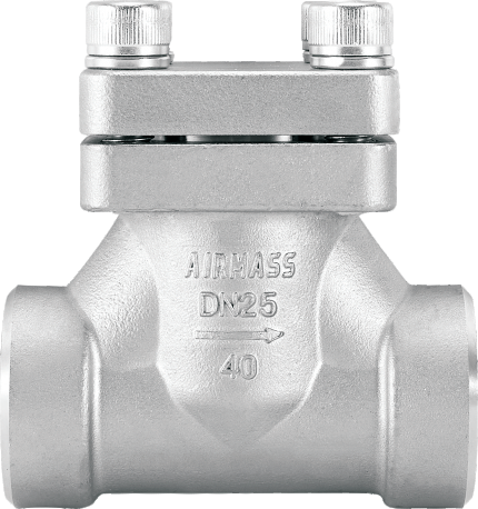 DH61F-40P Cryogenic Lift Check Valves
