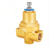 DYS15A Cryogenic Pressure-Building Regulator
