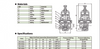 DYZ06A Cryogenic CombiPressure Regulator