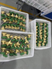 DJ06/10S Cryogenic Extended Globe Valves