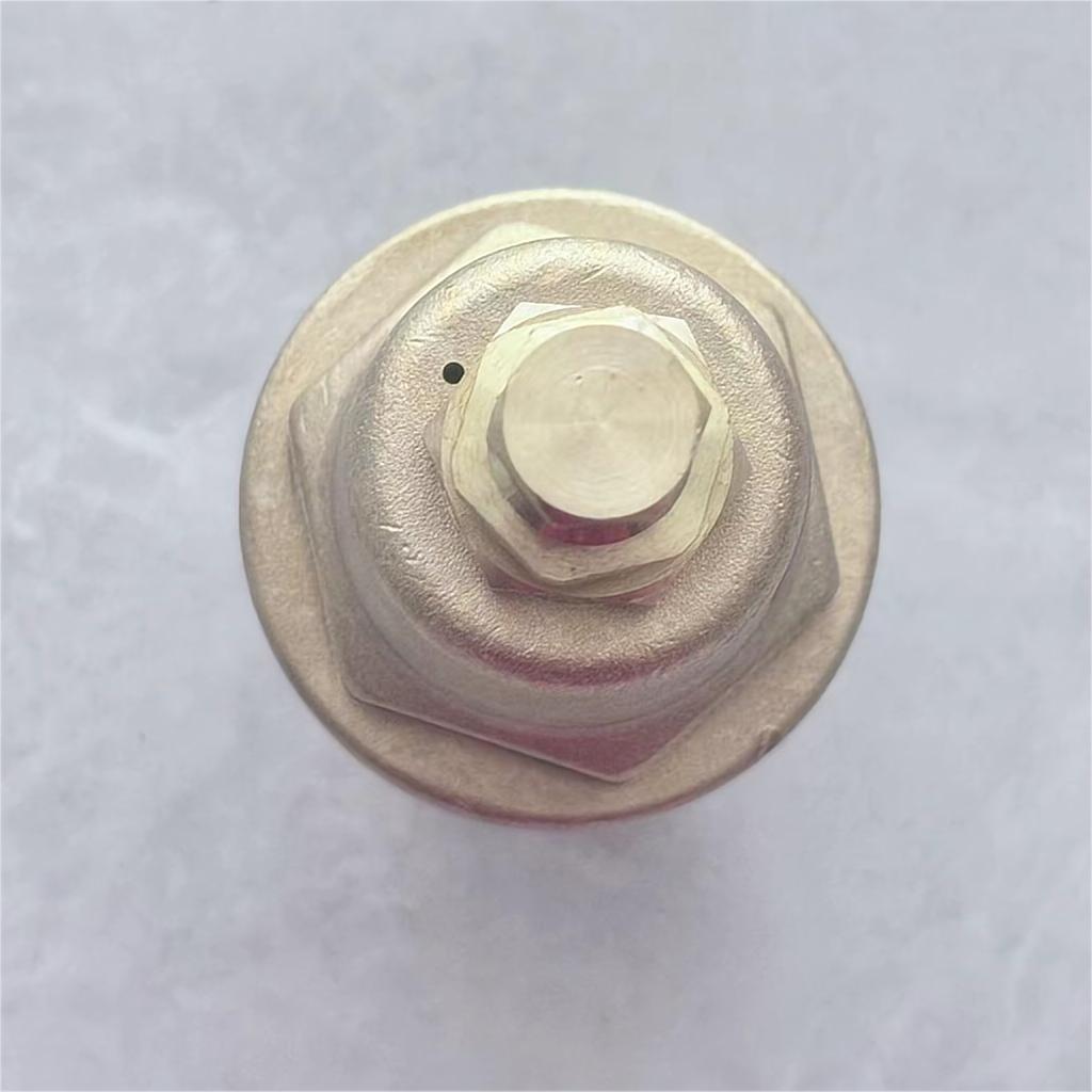 DYS15F Cryogenic Pressure-Building Regulator
