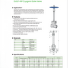 DJ61F-40P(DJ-15DN,DJ-20DN,DJ-25DN，DJ-32DN，DJ-40DN，DJ-50DN) Cryogenic Globe Valves