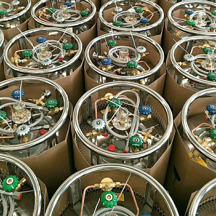 DA08 Cryogenic Safety Valves for Dewar Bottle Gas Cylinders Brass