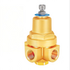 DYZ15A Cryogenic CombiPressure Regulattor