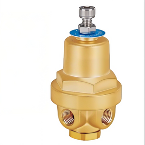 DYZ06A Cryogenic CombiPressure Regulator