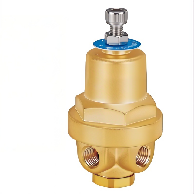 DYZ06A Cryogenic CombiPressure Regulator