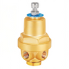DYZ06C Cryogenic CombiPressure Regulator