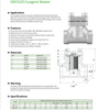 DGF15/25 Cryogenic Strainer