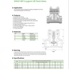 DH61F-40P Cryogenic Lift Check Valves