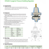 DYS20 ACryogenic Pressure-Building Regulator