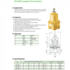 DYJ15B Cryogenic Economizers