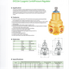 DYZ15A Cryogenic CombiPressure Regulattor