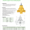 DYS15FM Cryogenic Pressure-Building Regulator
