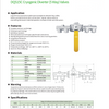 DQS15C Cryogenic Diverter (5Way) Valves