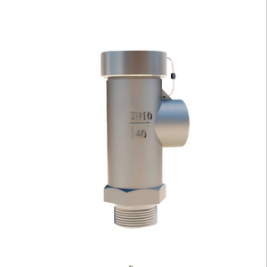 DA21F-40P Cryogenic Safety Valves