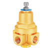 DYZ15C Cryogenic CombiPressure Regulator