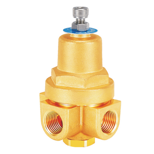 DYZ15C Cryogenic CombiPressure Regulator