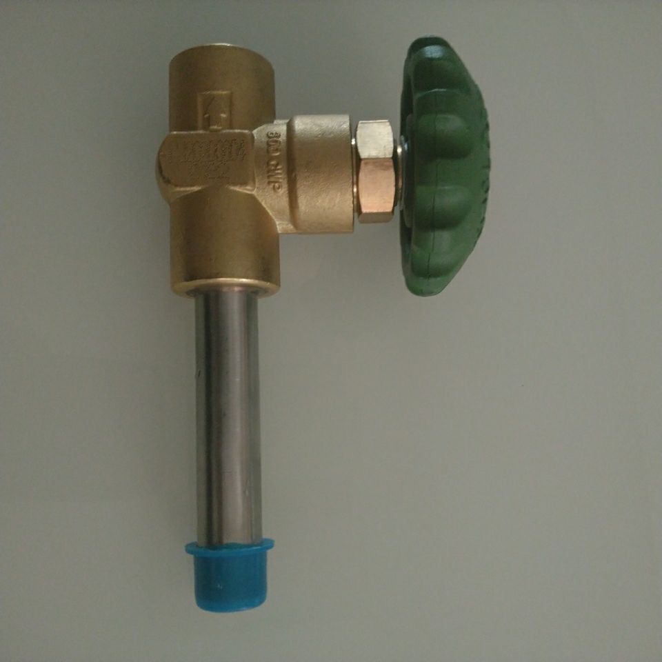 DJ10 Cryogenic Globe Valves Accessory for Dewar Bottle Gas Cylinders TYPE DJ-10B1 DJ-10B2 DJ-10B3