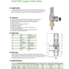DA22F-40P （DAH-15B，DAH-25B）Cryogenic Safety Valves
