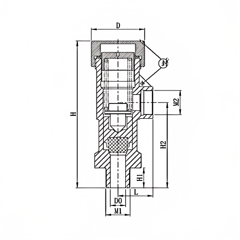 DA21F-40P Cryogenic Safety Valves
