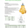 DYS15A Cryogenic Pressure-Building Regulator