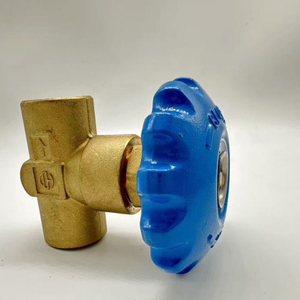 DJ10 Cryogenic Globe Valves Accessory for Dewar Bottle Gas Cylinders Low Pressure Brass/Stainless Steel TYPE DJ-10A