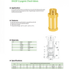 DH15F Cryogenic Check Valves