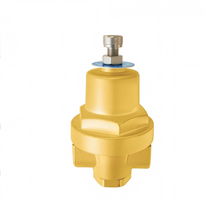 DYS10A Cryogenic Pressure-Building Regulator