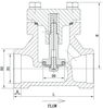 DH61F-40P Cryogenic Lift Check Valves