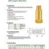 DA04 Cryogenic Safety Valves (DA-04A/DA-04B) Low Pressure Brass/Stainless Steel for Dewar Bottles & Gas Cylinders